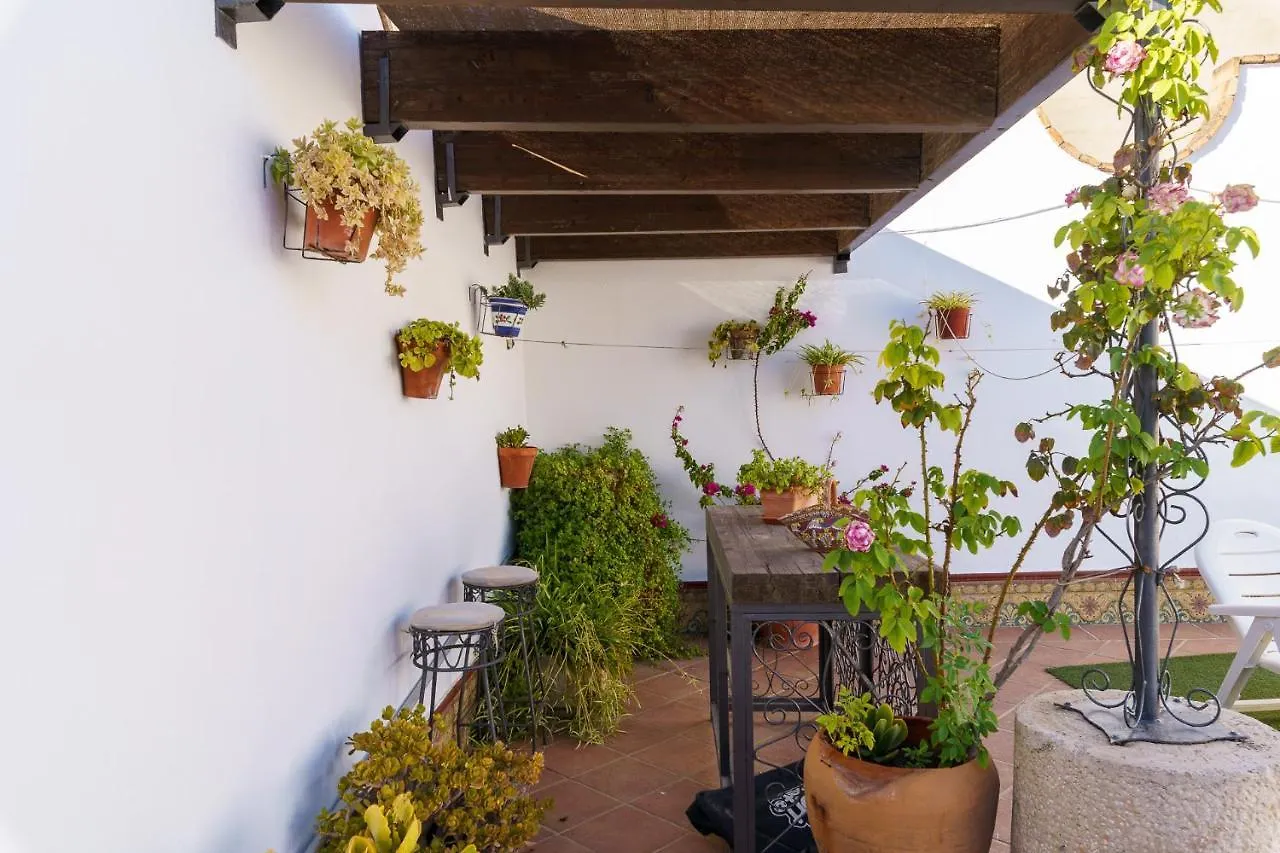 Ct 186 - El Senorio De Alameda Villa Spain